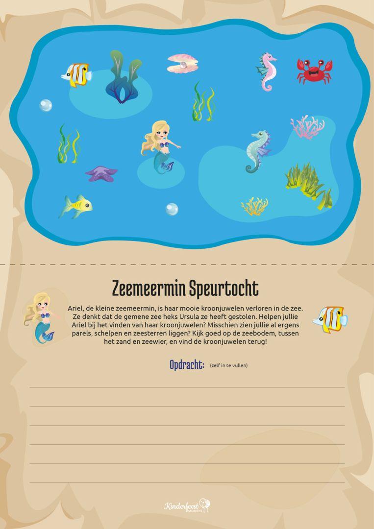 Speurtocht zeemeermin