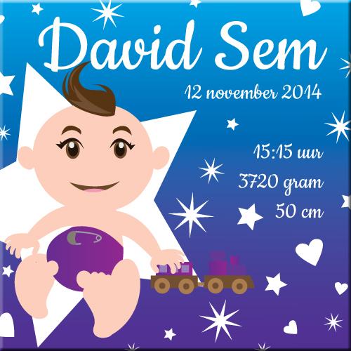 Paarse baby boy canvas