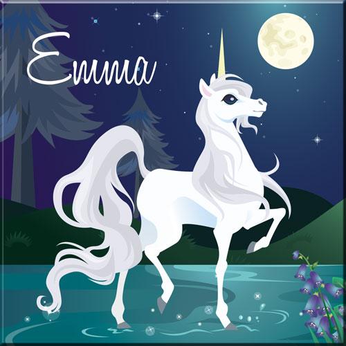 Canvas eenhoorn night